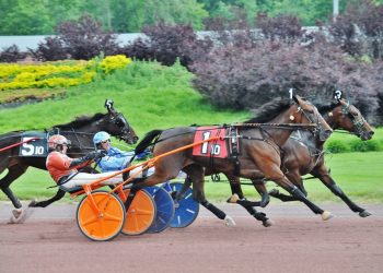 Pantaleano takes both co-features at The Downs