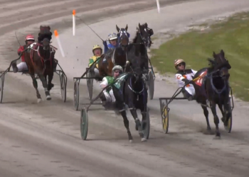 Kiss Me Im Irish stuns top Northside pacers