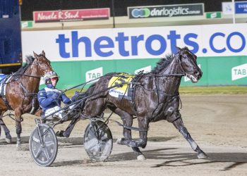 Weekly spotlight on breeding