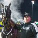 Defeat impressed Pizzuto in $50,000 feature