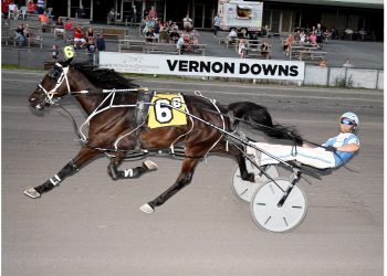 Lyons Pegasus breezes in Open Pace