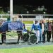 Queensland harness racing wrap
