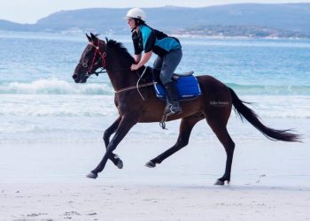 Four winners a first for Maddy