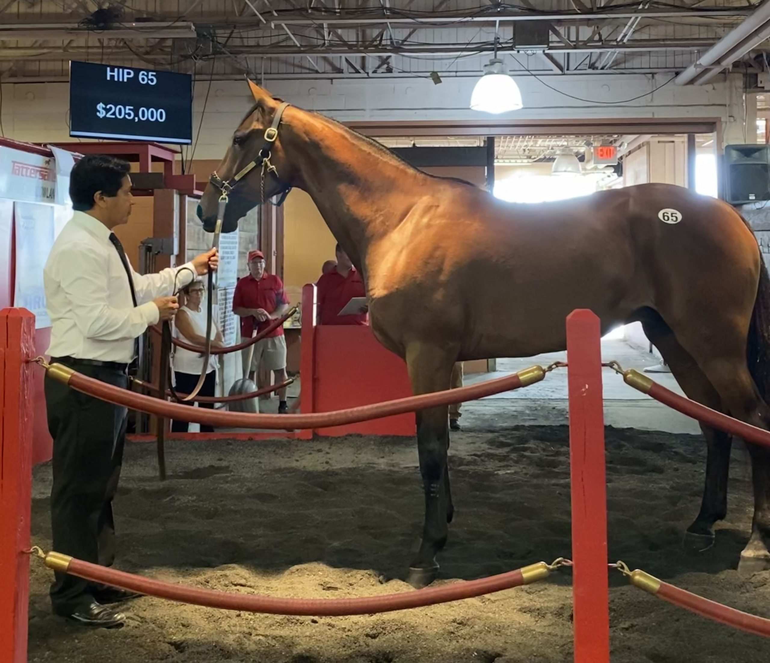 A sublime Saturday at The Meadowlands - Harnesslink