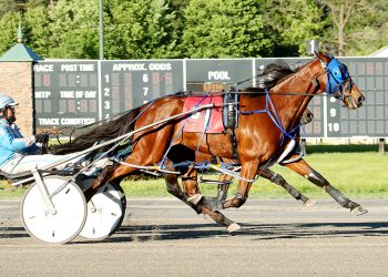 Mikibytheseaside back to winning form