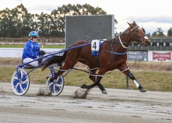 Millwood Nike’s dam up for auction