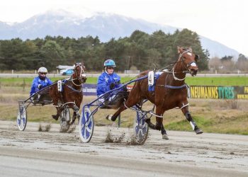 Powerful stable dominates both Group features