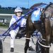 Major Menangle milestones