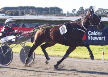 Chiropractor sorts out Only One Way