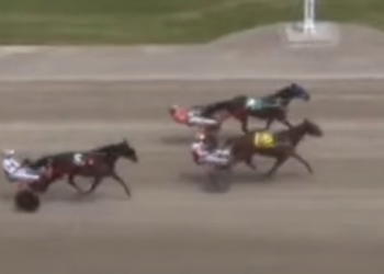 Dial five for Phone In’s winning streak