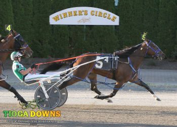 Mike Merton hits Grand Slam at Tioga
