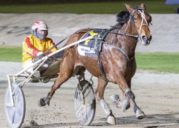 Lilley has a budding star on his hands