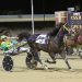 19-1 Pridecrest powers by field in Open Trot