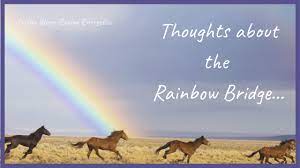 Get The Bags, top broodmare, passes at age 29