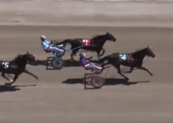 Mare ends losing spell on Hanover opening night