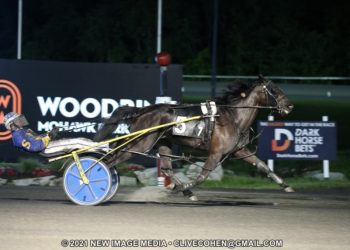 Saulsbrook Olympia strong in Pop-Up Series