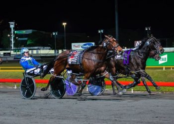 Queensland harness racing wrap