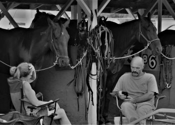 Bumper crop for youth-focused Tardifs