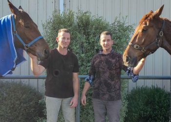 Kiwis settle in across the ditch