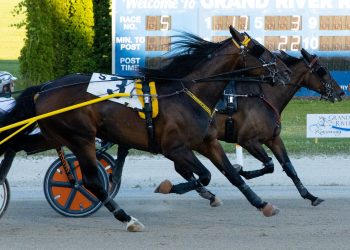 Unpolished showing four-year-old class