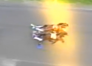 Pacers double up in Fraser Opens