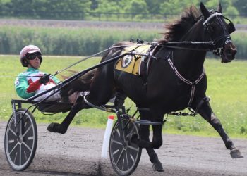 Lazarus colt shines with big late move at Gaitway