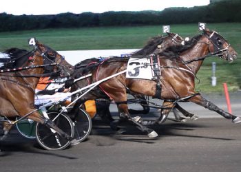 Shane Tritton trainee grinds it out in Big M Open