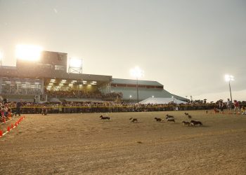 Ren’s Pets sponsoring Wiener Dog races at GRR