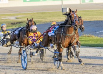 Untapped four-year-old boasts hot trial form