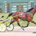 Everyone scores lifetime marks in Buckeye Series 2