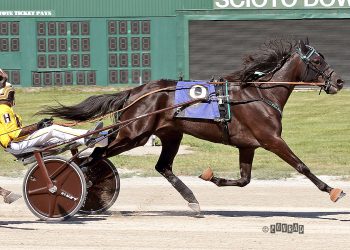 Lionhunter mare takes $32,000 Richard Brandt Trot