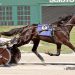 Lionhunter mare takes $32,000 Richard Brandt Trot