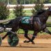 Gingras puts on a show in Kentucky-bred Series