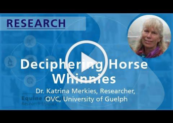 How well do we know horse speak?