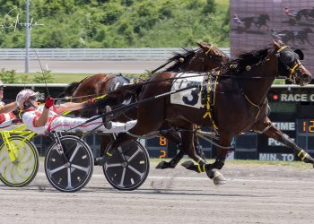 Lady Newton battles barnmate for second straight