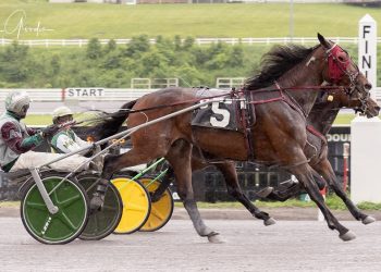 9-1 shot upsets favorite in photo finish