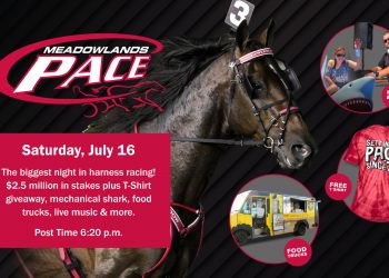 Night Hawk flies up Road to the Meadowlands Pace rankings