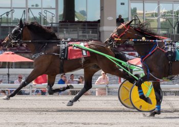 Stakes record tied in $57,335 Currier & Ives