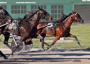 Penpaperpaige flies by four to score