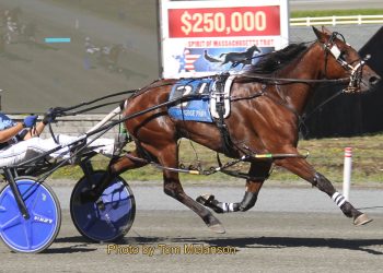 Mares own spotlight at Plainridge