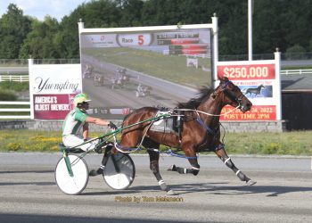 Betterb Chevron N better than Open mare rivals