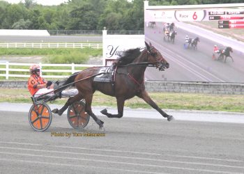 Lifetime mark taken in Plainridge top trot
