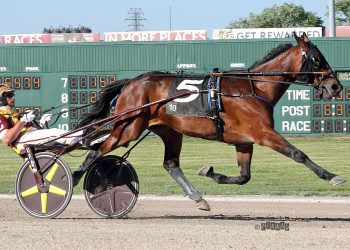 Penpaperpaige flies by four to score