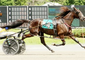 Sea Shadows draws away at The Spa