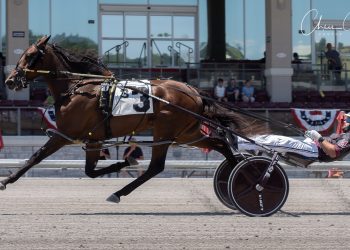 Debutante takes Pop-Up second leg