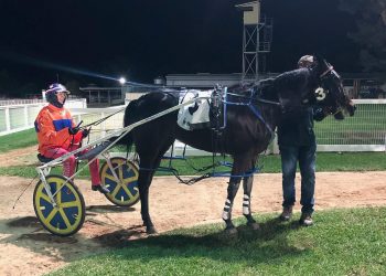 Stable snippets with Terry Gange