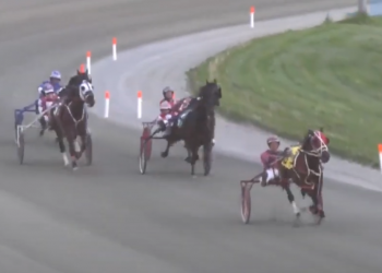 Sharp Vines To Heaven dominant in first Truro win