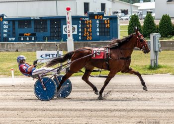 Track record smashed in NYSS