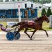 NYSS fillies roll into Monticello for $105,000 leg 2 Track record smashed in NYSS