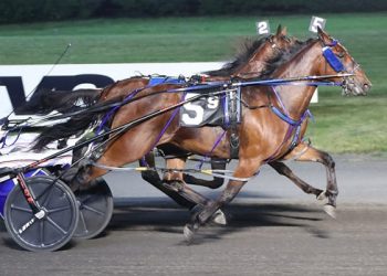 Twin B Joe Fresh upsets in $47,975 Tompkins-Geers